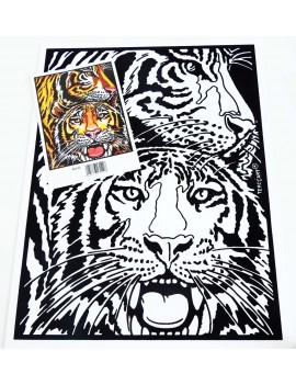 tigre2