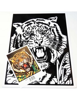 tigre1