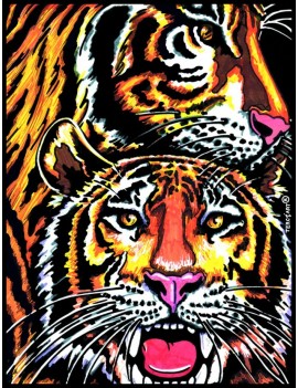 tigre2