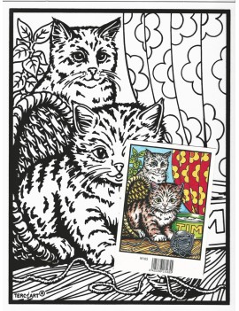 chat